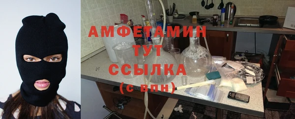 прущие грибы Каменка