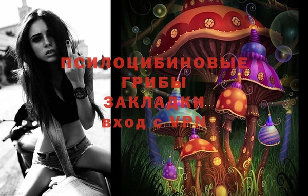 прущие грибы Каменка