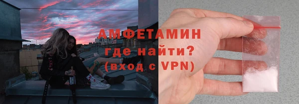 прущие грибы Каменка