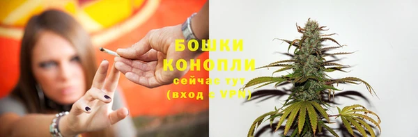 прущие грибы Каменка