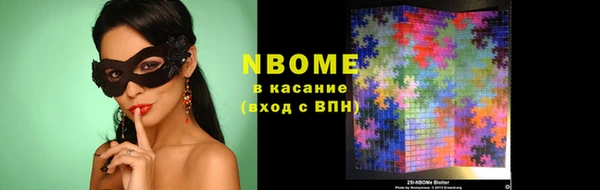прущие грибы Каменка