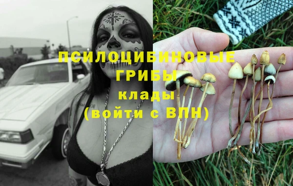 бутират Каменногорск