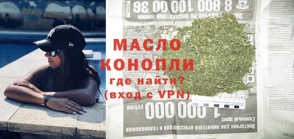 гидра Инсар