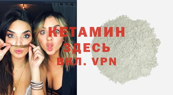 прущие грибы Каменка
