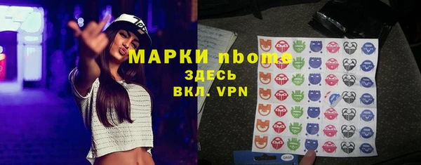 прущие грибы Каменка