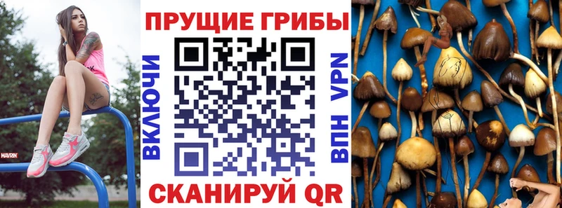 Псилоцибиновые грибы Psilocybine cubensis  МЕГА сайт  Самара  продажа наркотиков 