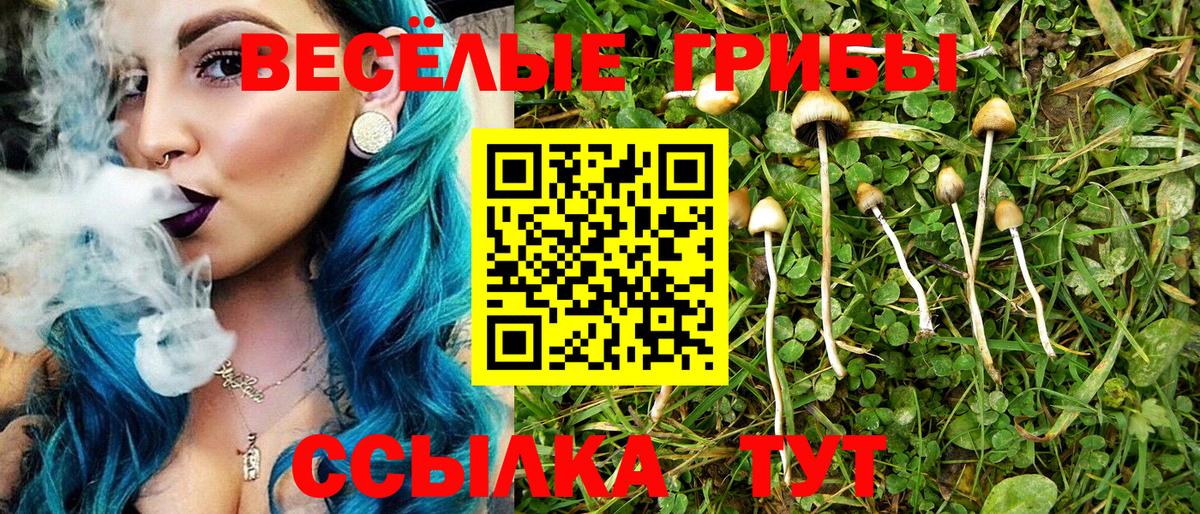 Самара  Галлюциногенные грибы Psilocybine cubensis  Вход с VPN 